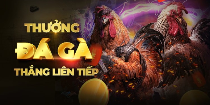 Ưu điểm của đá gà 789win