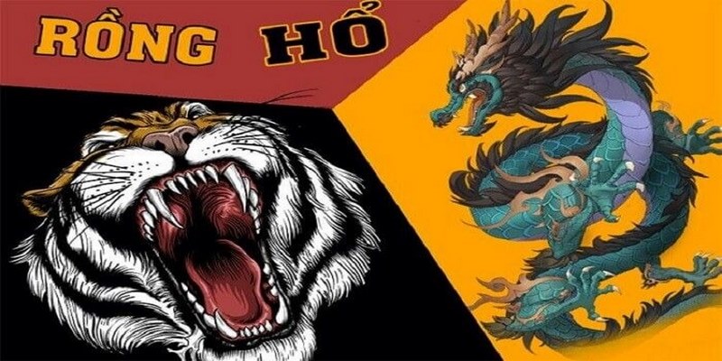 Mẹo chơi rồng hổ đặt cược 1 nửa sẽ giảm thiểu rủi ro thất bại